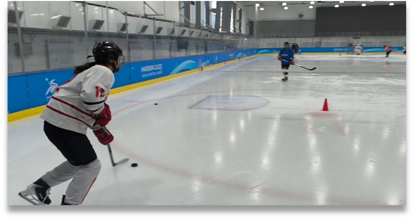 Marine fender face pads on dock